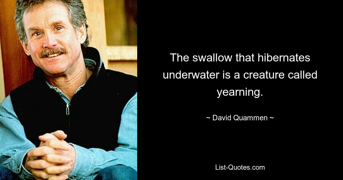 The swallow that hibernates underwater is a creature called yearning. — © David Quammen