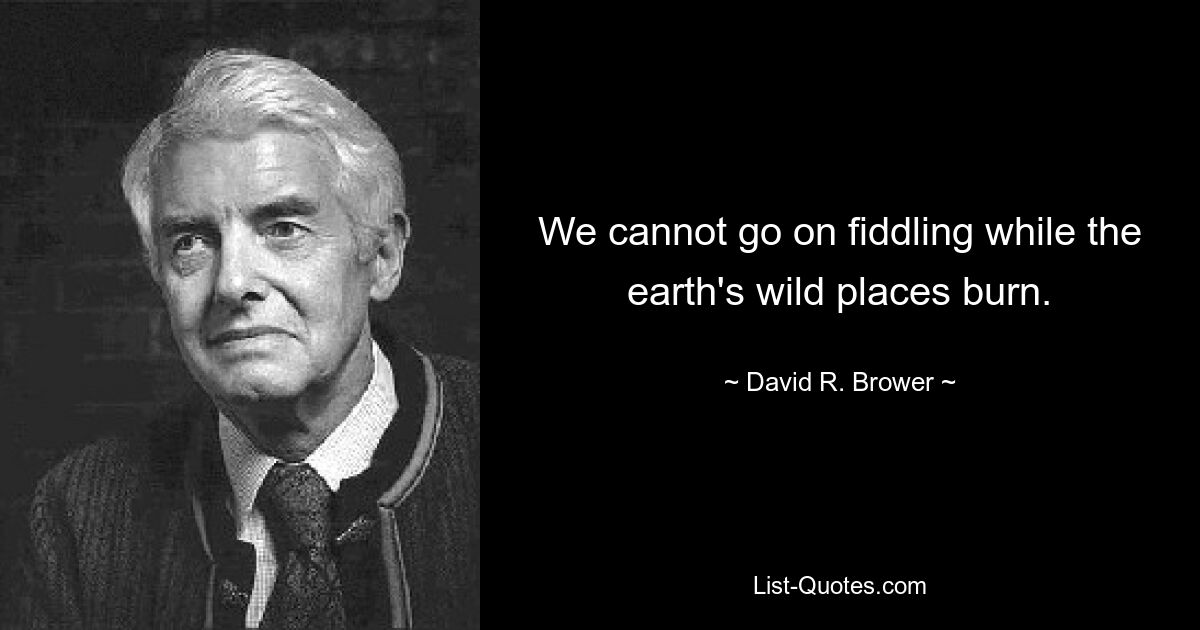 We cannot go on fiddling while the earth's wild places burn. — © David R. Brower