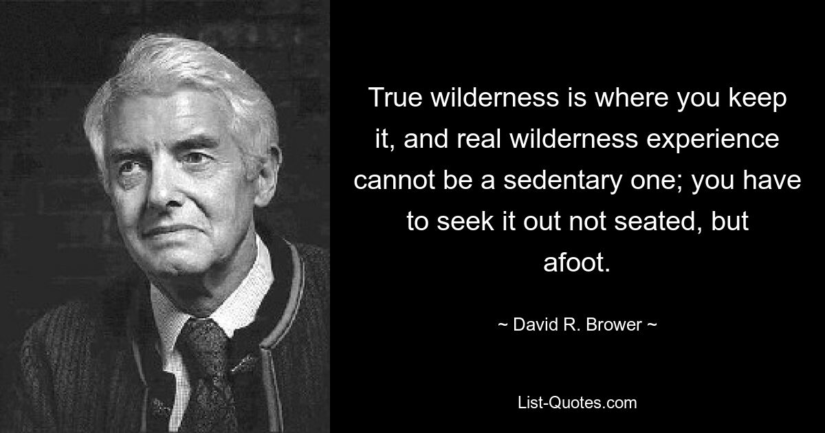 True wilderness is where you keep it, and real wilderness experience cannot be a sedentary one; you have to seek it out not seated, but afoot. — © David R. Brower