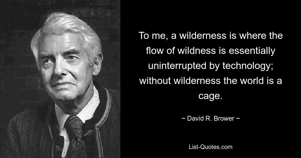 To me, a wilderness is where the flow of wildness is essentially uninterrupted by technology; without wilderness the world is a cage. — © David R. Brower