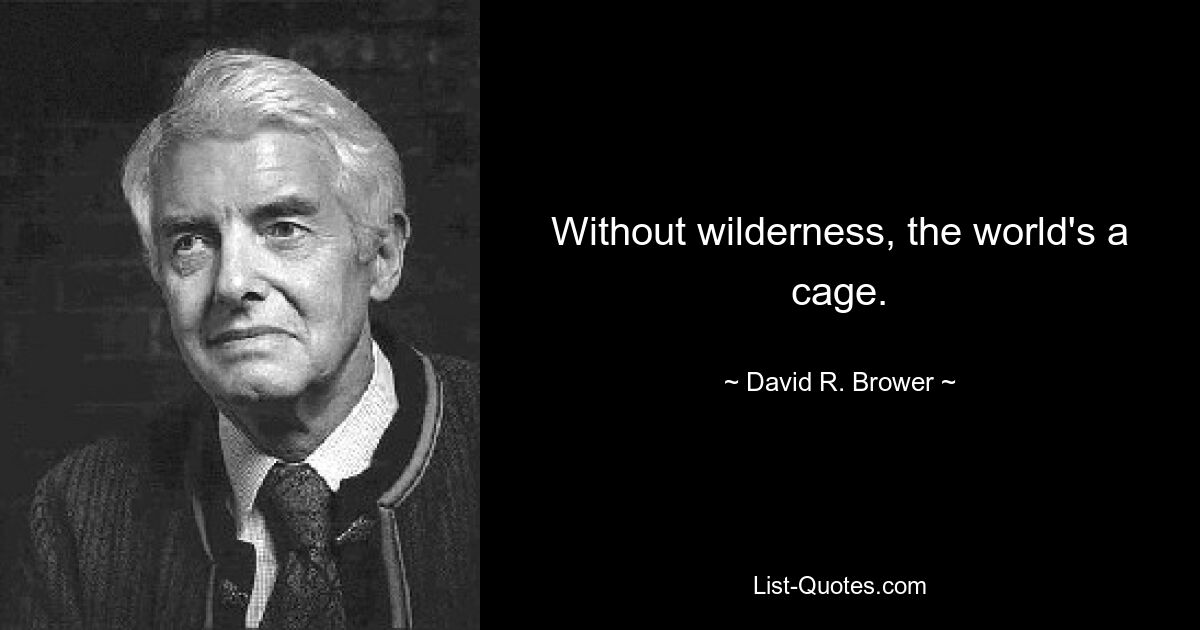 Without wilderness, the world's a cage. — © David R. Brower