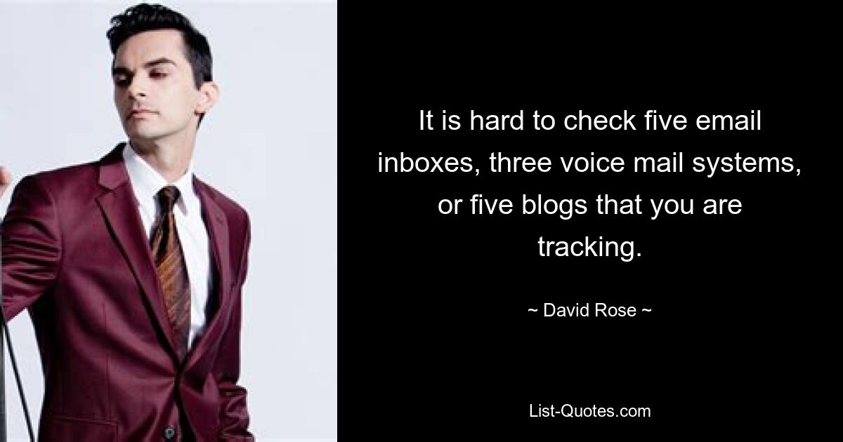 It is hard to check five email inboxes, three voice mail systems, or five blogs that you are tracking. — © David Rose