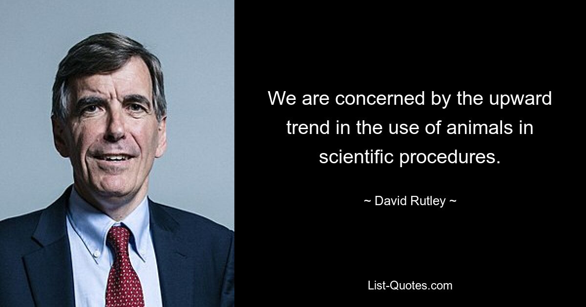 We are concerned by the upward trend in the use of animals in scientific procedures. — © David Rutley