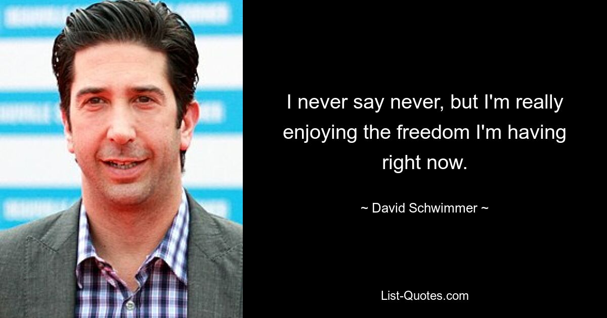 I never say never, but I'm really enjoying the freedom I'm having right now. — © David Schwimmer