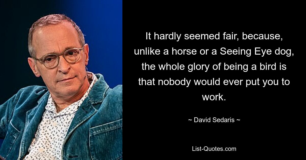 It hardly seemed fair, because, unlike a horse or a Seeing Eye dog, the whole glory of being a bird is that nobody would ever put you to work. — © David Sedaris