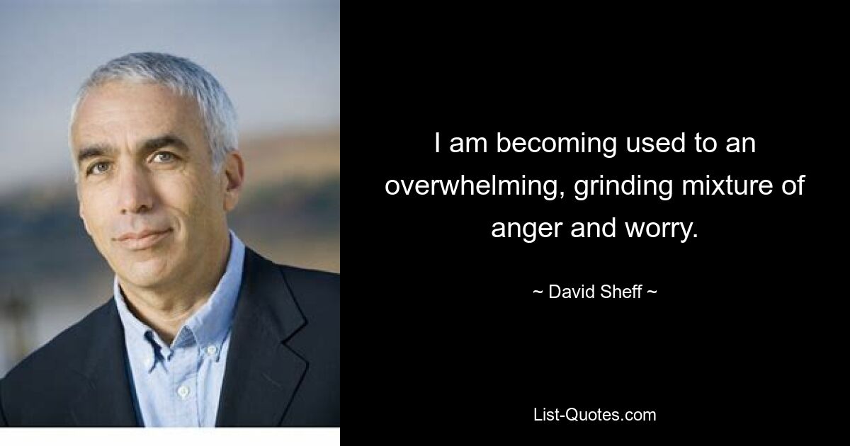 I am becoming used to an overwhelming, grinding mixture of anger and worry. — © David Sheff