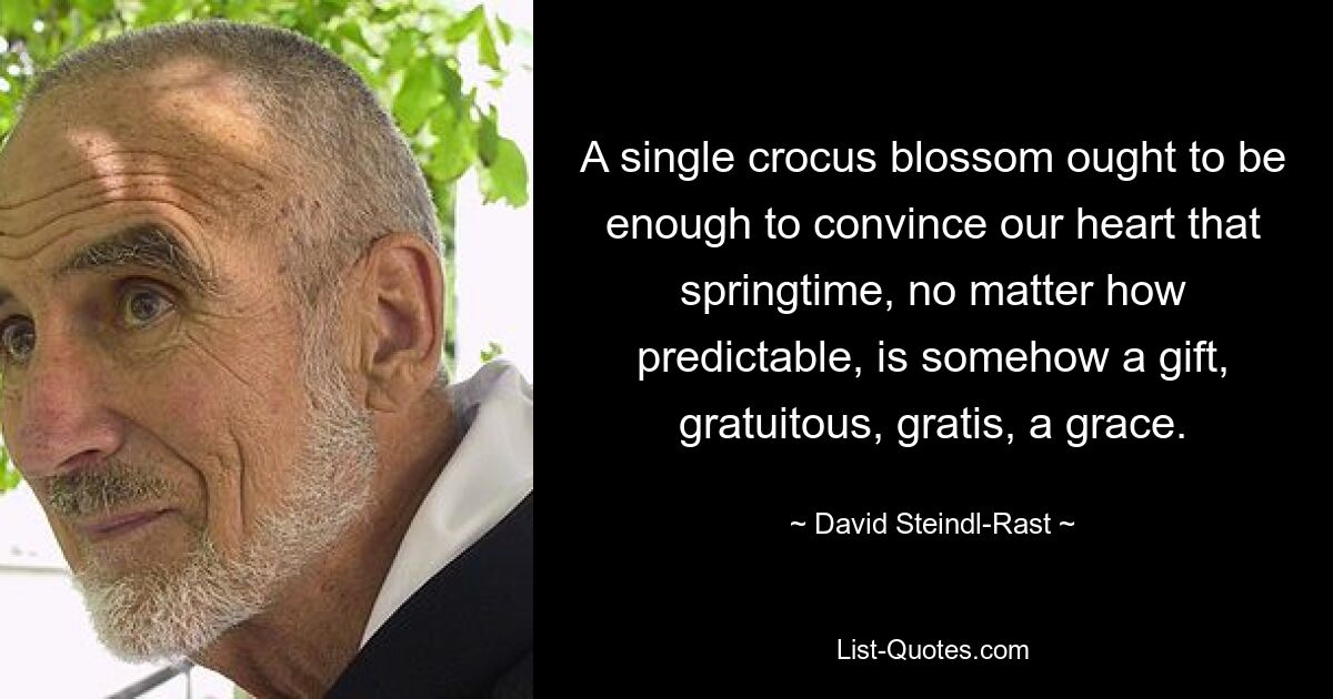 A single crocus blossom ought to be enough to convince our heart that springtime, no matter how predictable, is somehow a gift, gratuitous, gratis, a grace. — © David Steindl-Rast