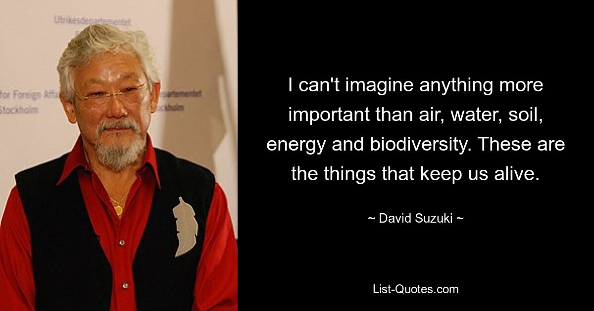 I can't imagine anything more important than air, water, soil, energy and biodiversity. These are the things that keep us alive. — © David Suzuki