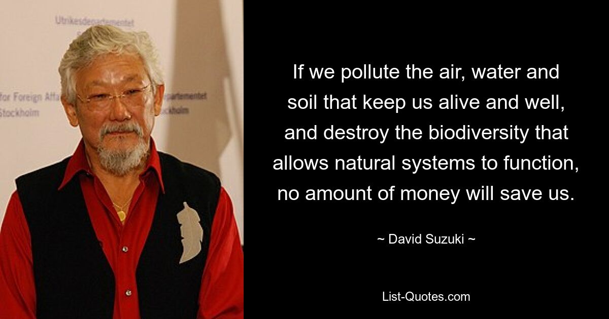 If we pollute the air, water and soil that keep us alive and well, and destroy the biodiversity that allows natural systems to function, no amount of money will save us. — © David Suzuki