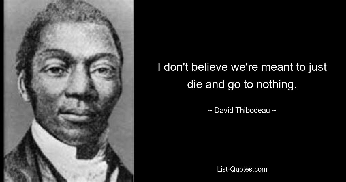 Ich glaube nicht, dass wir dazu bestimmt sind, einfach zu sterben und ins Nichts zu gehen. — © David Thibodeau 