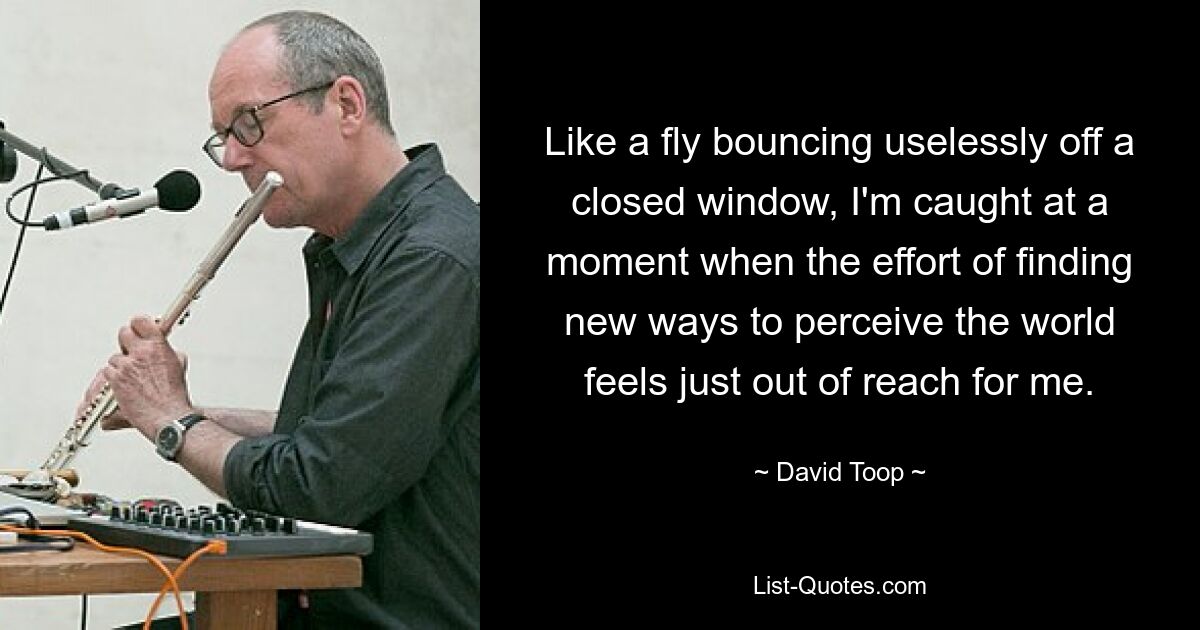 Like a fly bouncing uselessly off a closed window, I'm caught at a moment when the effort of finding new ways to perceive the world feels just out of reach for me. — © David Toop