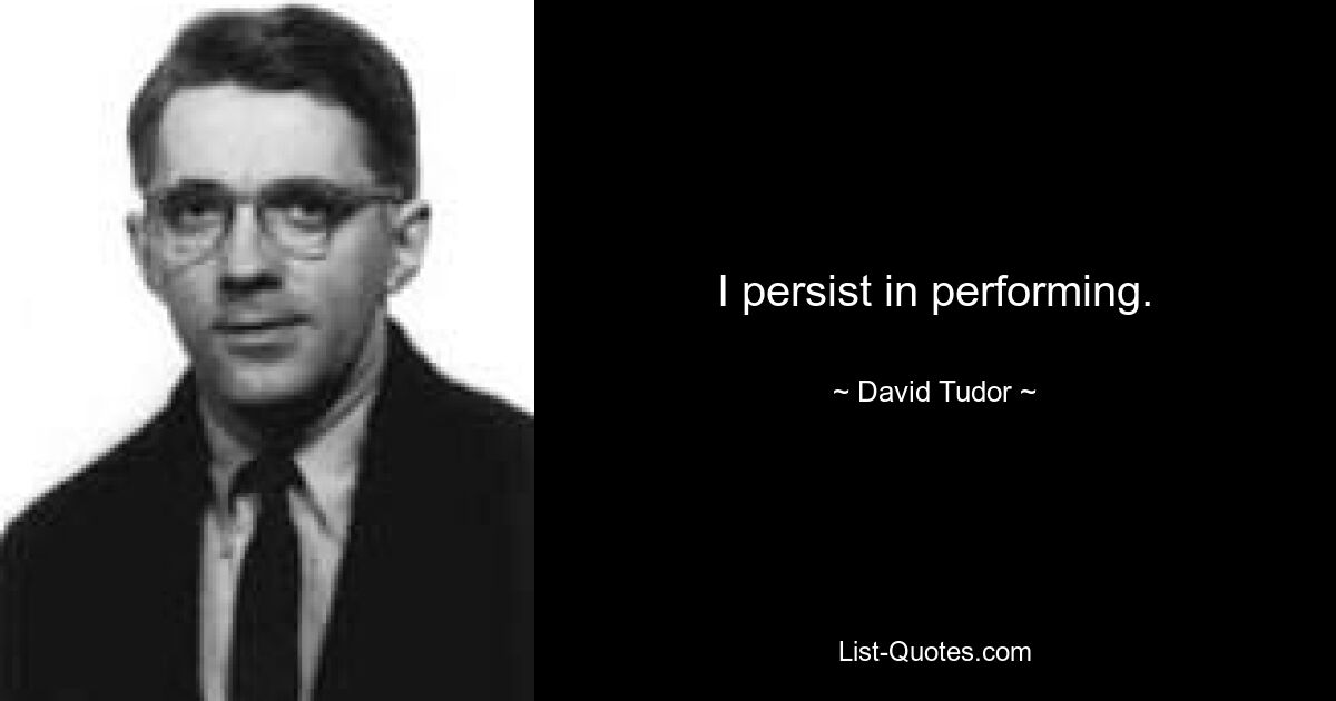 I persist in performing. — © David Tudor