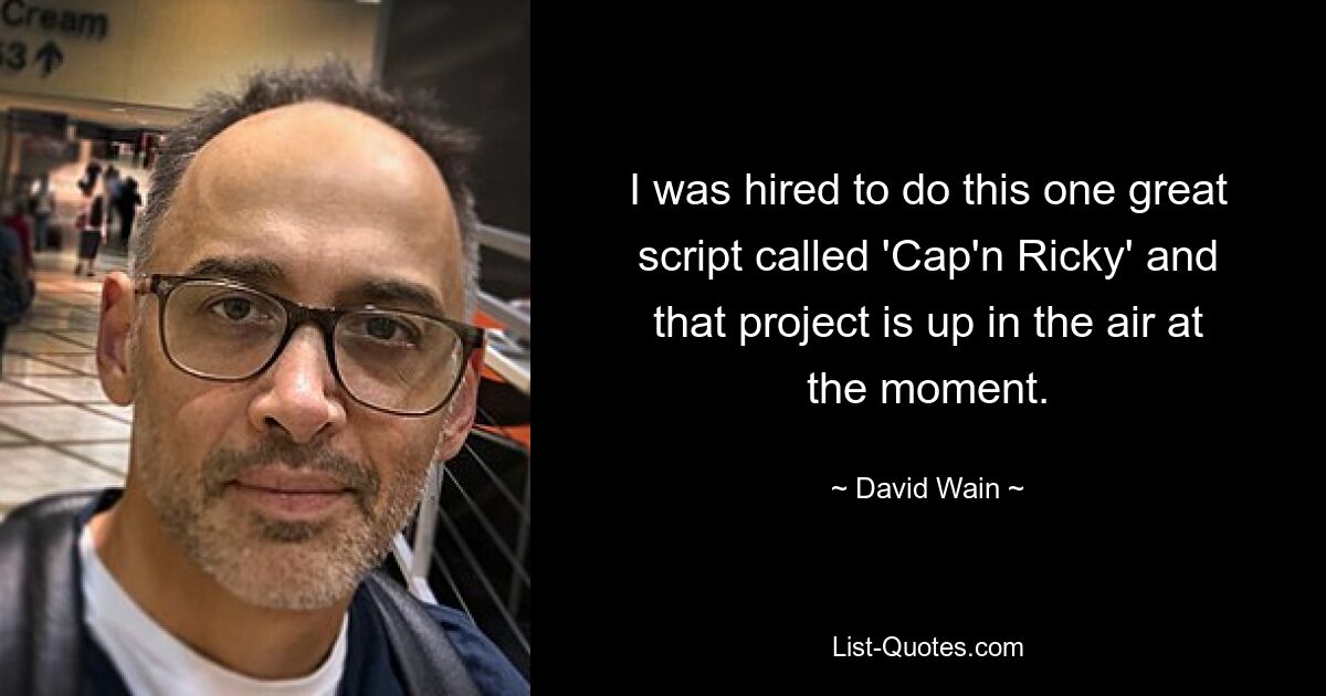 I was hired to do this one great script called 'Cap'n Ricky' and that project is up in the air at the moment. — © David Wain