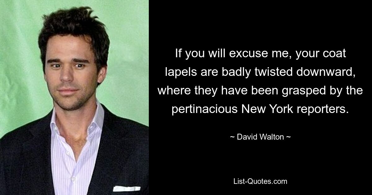 If you will excuse me, your coat lapels are badly twisted downward, where they have been grasped by the pertinacious New York reporters. — © David Walton