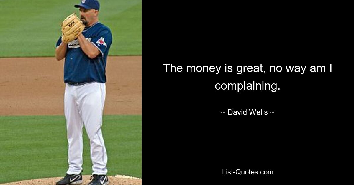 The money is great, no way am I complaining. — © David Wells