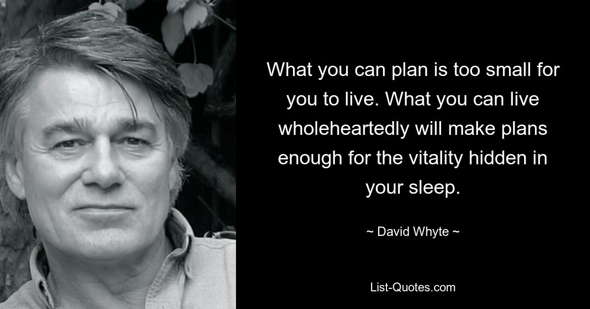 What you can plan is too small for you to live. What you can live wholeheartedly will make plans enough for the vitality hidden in your sleep. — © David Whyte