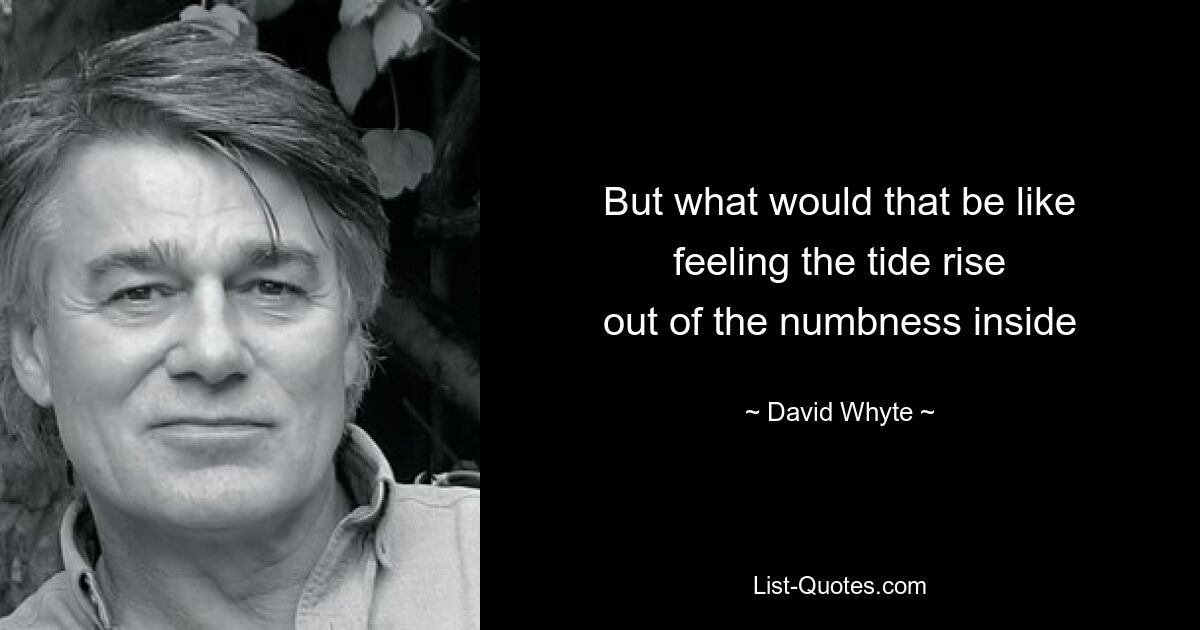 But what would that be like
feeling the tide rise
out of the numbness inside — © David Whyte