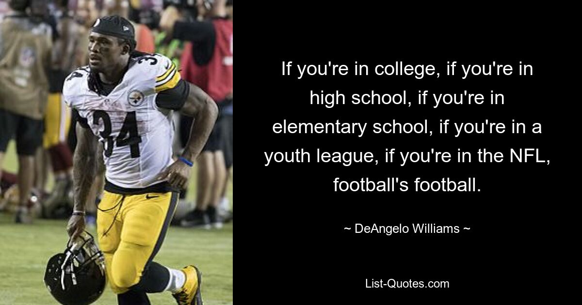 If you're in college, if you're in high school, if you're in elementary school, if you're in a youth league, if you're in the NFL, football's football. — © DeAngelo Williams