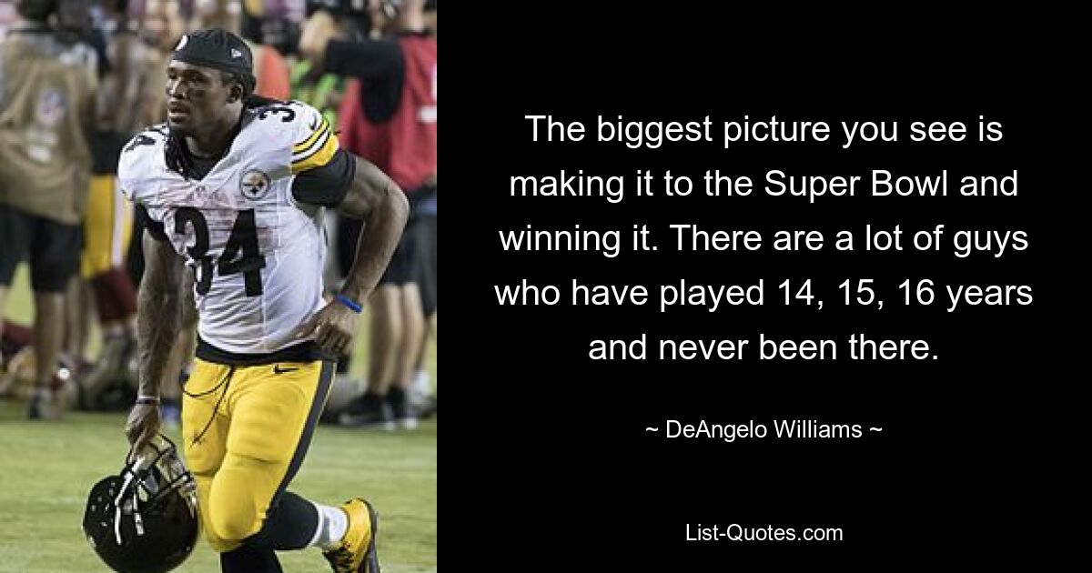 The biggest picture you see is making it to the Super Bowl and winning it. There are a lot of guys who have played 14, 15, 16 years and never been there. — © DeAngelo Williams