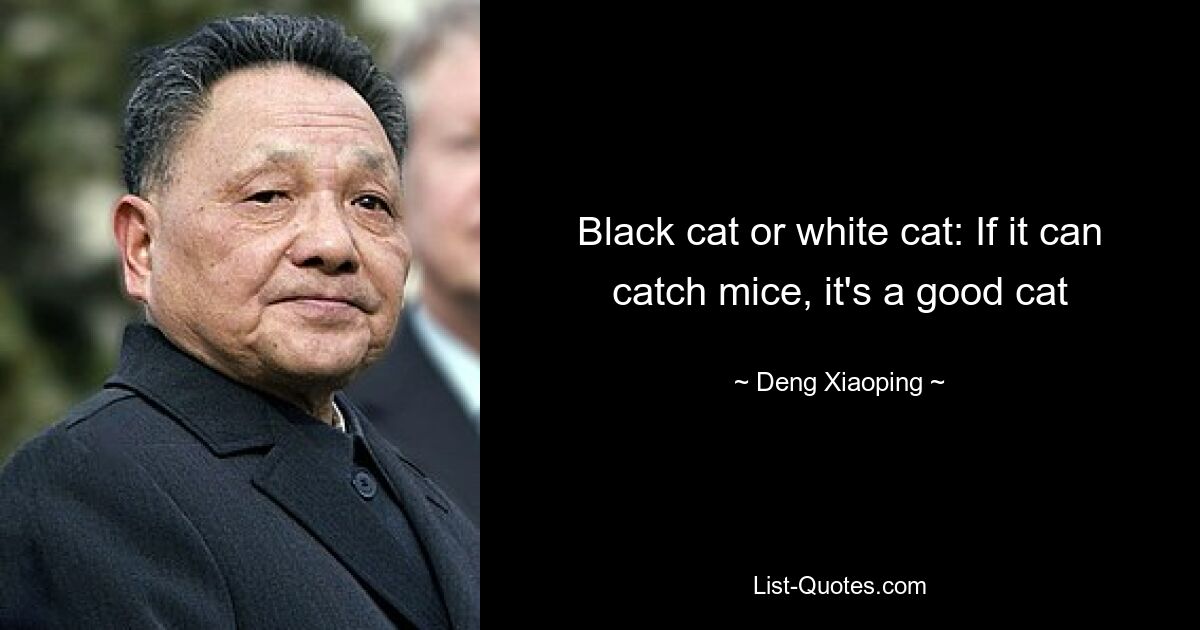 Black cat or white cat: If it can catch mice, it's a good cat — © Deng Xiaoping