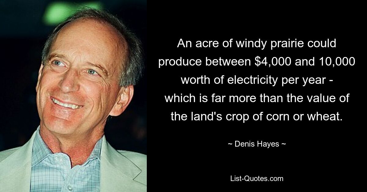 Ein Hektar windiger Prärie könnte pro Jahr Strom im Wert von 4.000 bis 10.000 US-Dollar produzieren – was weit mehr ist als der Wert der Mais- oder Weizenernte des Landes. — © Denis Hayes 