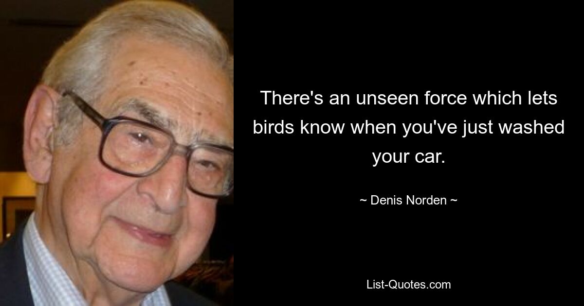 Есть невидимая сила, которая сообщает птицам, что вы только что помыли машину. — © Денис Норден 