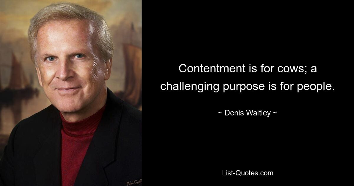 Contentment is for cows; a challenging purpose is for people. — © Denis Waitley