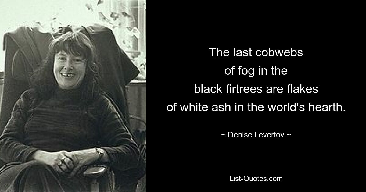 The last cobwebs
of fog in the
black firtrees are flakes
of white ash in the world's hearth. — © Denise Levertov