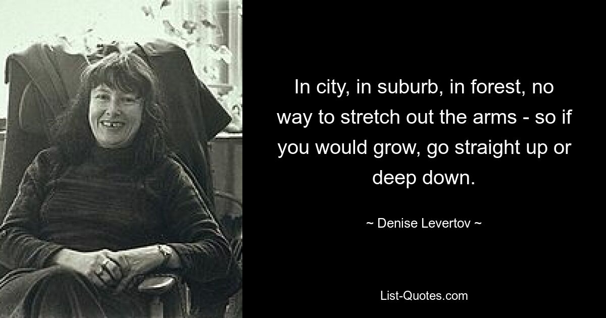 In city, in suburb, in forest, no way to stretch out the arms - so if you would grow, go straight up or deep down. — © Denise Levertov