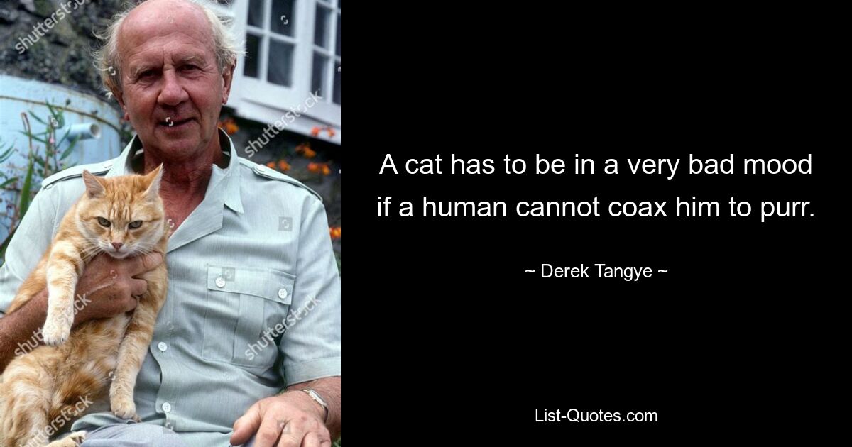 A cat has to be in a very bad mood if a human cannot coax him to purr. — © Derek Tangye