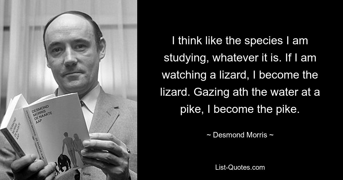 I think like the species I am studying, whatever it is. If I am watching a lizard, I become the lizard. Gazing ath the water at a pike, I become the pike. — © Desmond Morris