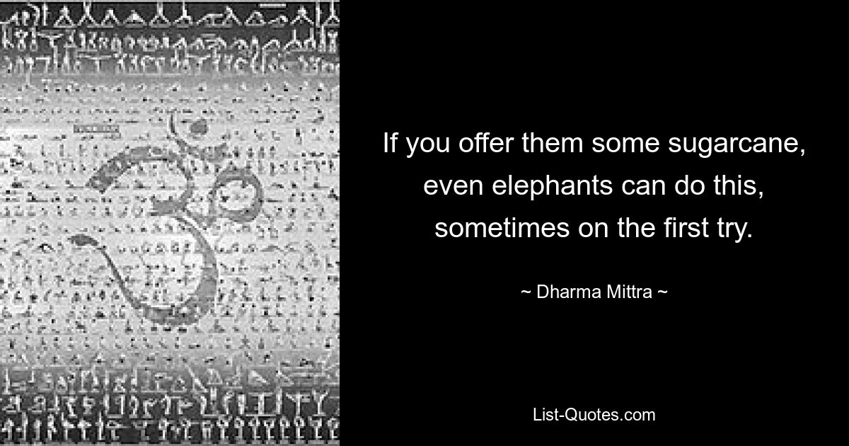 If you offer them some sugarcane, even elephants can do this, sometimes on the first try. — © Dharma Mittra