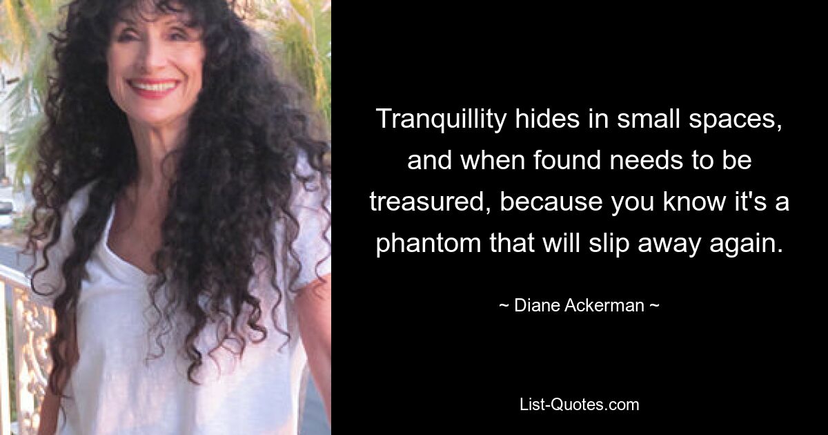 Tranquillity hides in small spaces, and when found needs to be treasured, because you know it's a phantom that will slip away again. — © Diane Ackerman