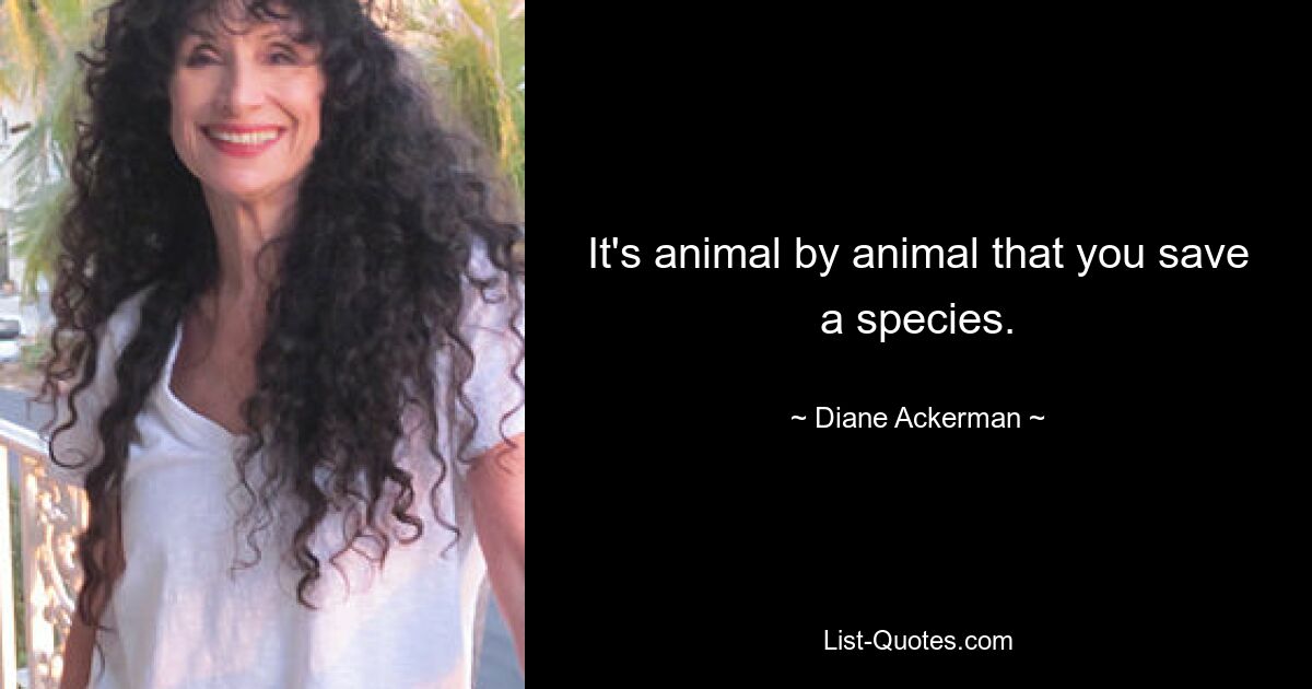 It's animal by animal that you save a species. — © Diane Ackerman