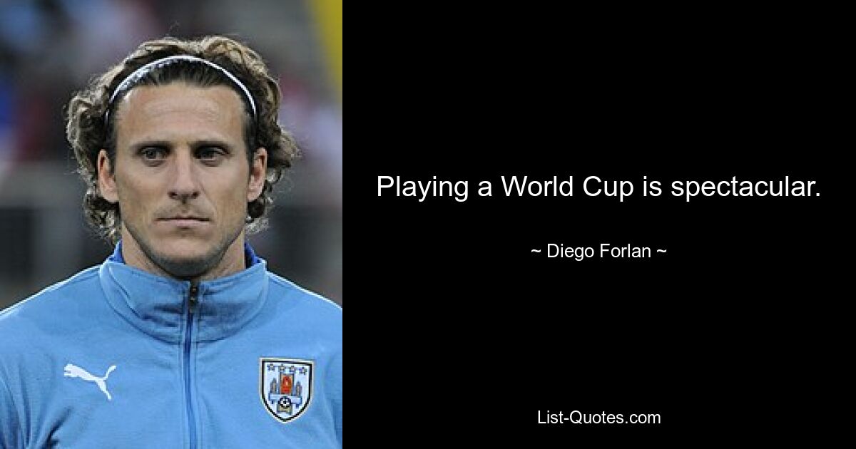 Playing a World Cup is spectacular. — © Diego Forlan