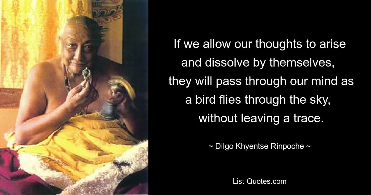 If we allow our thoughts to arise and dissolve by themselves, 
 they will pass through our mind as a bird flies through the sky, 
 without leaving a trace. — © Dilgo Khyentse Rinpoche