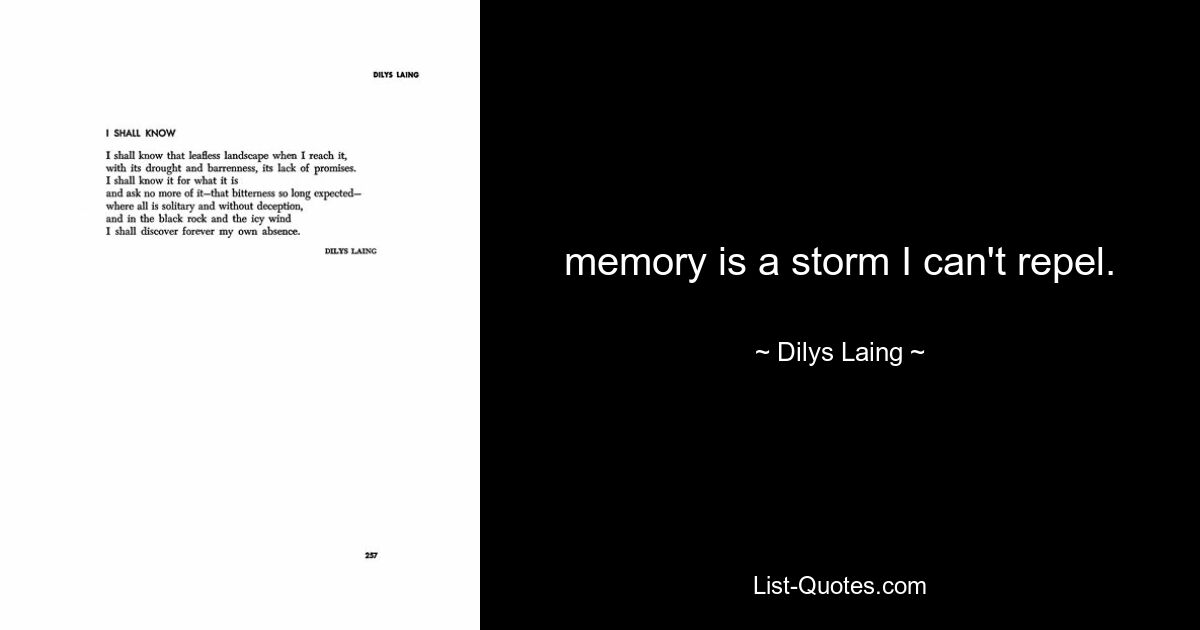 memory is a storm I can't repel. — © Dilys Laing