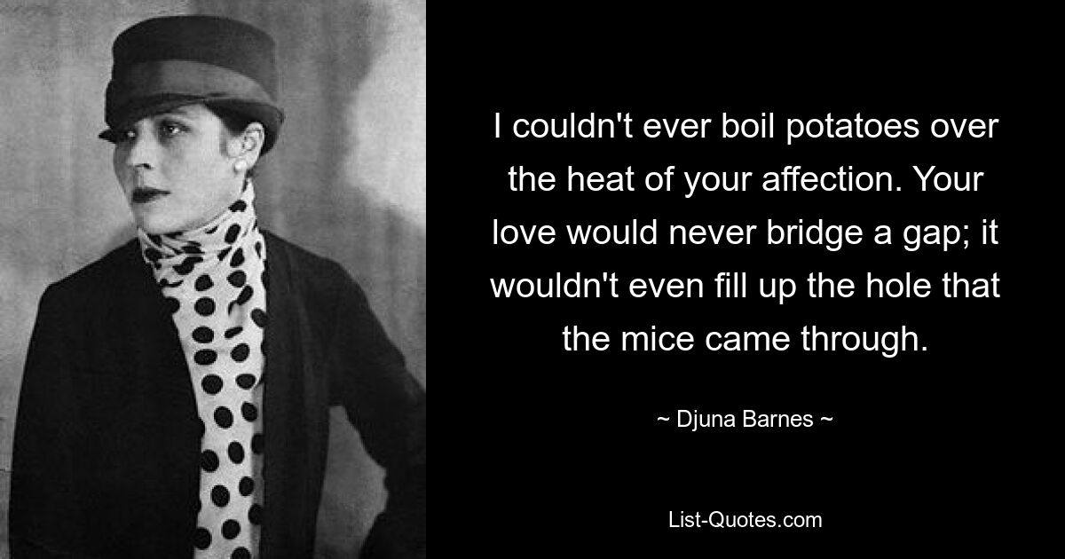 I couldn't ever boil potatoes over the heat of your affection. Your love would never bridge a gap; it wouldn't even fill up the hole that the mice came through. — © Djuna Barnes