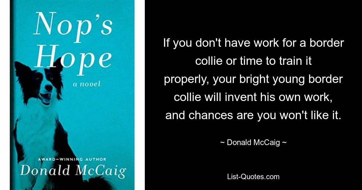 If you don't have work for a border collie or time to train it properly, your bright young border collie will invent his own work, and chances are you won't like it. — © Donald McCaig