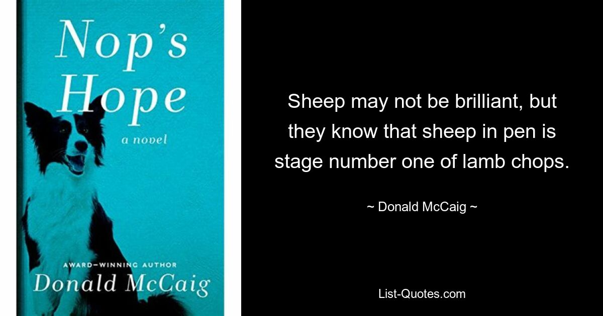 Sheep may not be brilliant, but they know that sheep in pen is stage number one of lamb chops. — © Donald McCaig