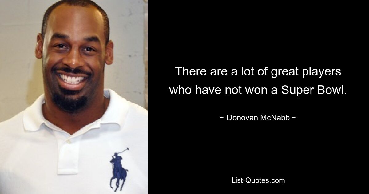 There are a lot of great players who have not won a Super Bowl. — © Donovan McNabb