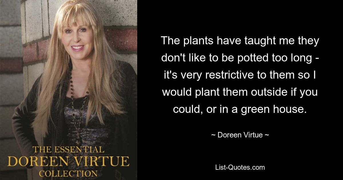 The plants have taught me they don't like to be potted too long - it's very restrictive to them so I would plant them outside if you could, or in a green house. — © Doreen Virtue