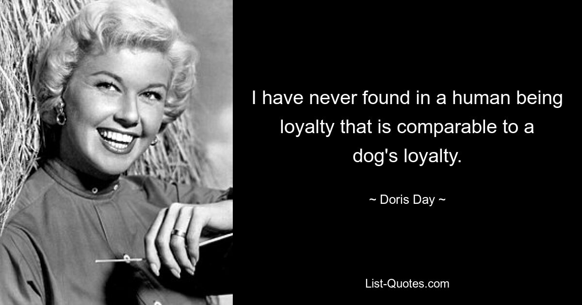 I have never found in a human being loyalty that is comparable to a dog's loyalty. — © Doris Day