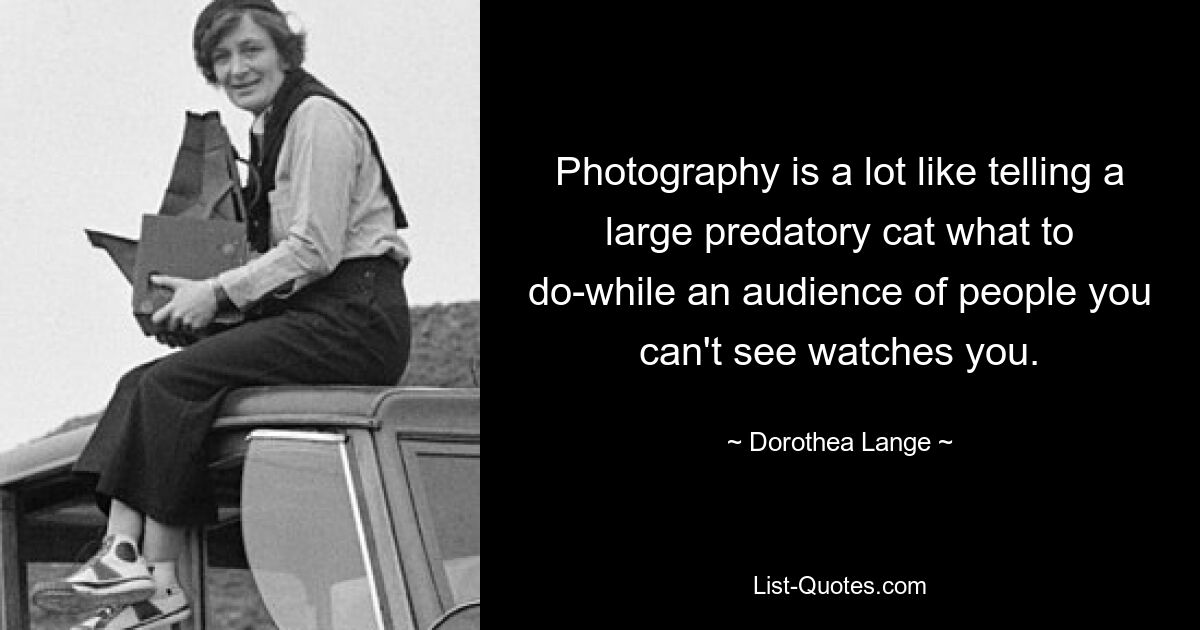 Photography is a lot like telling a large predatory cat what to do-while an audience of people you can't see watches you. — © Dorothea Lange