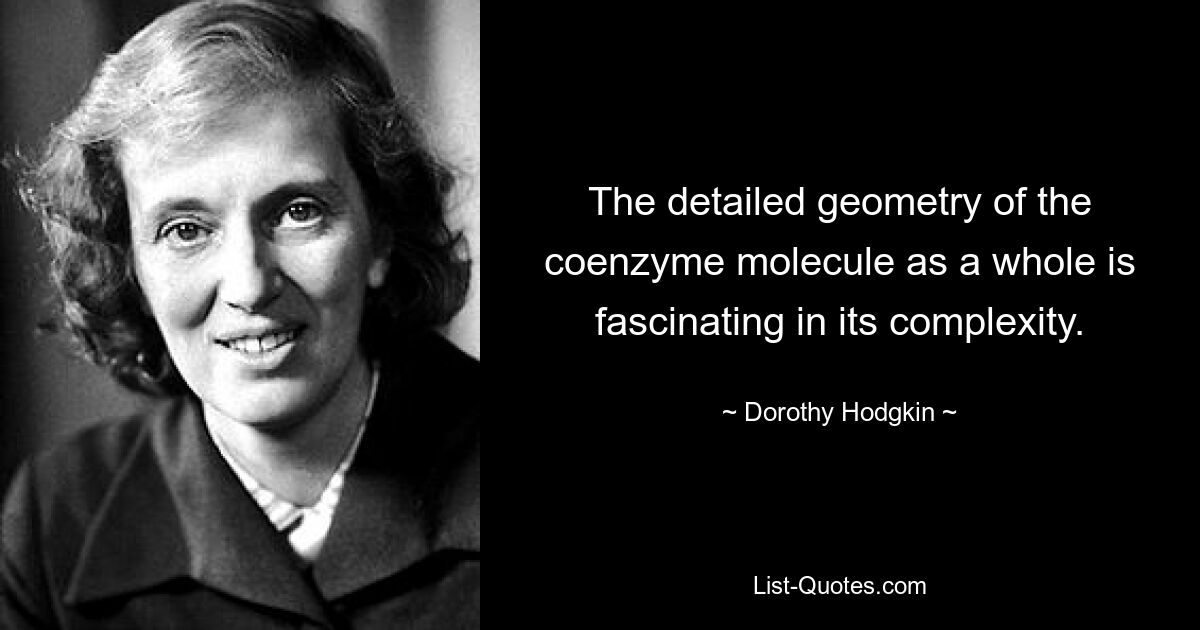 The detailed geometry of the coenzyme molecule as a whole is fascinating in its complexity. — © Dorothy Hodgkin