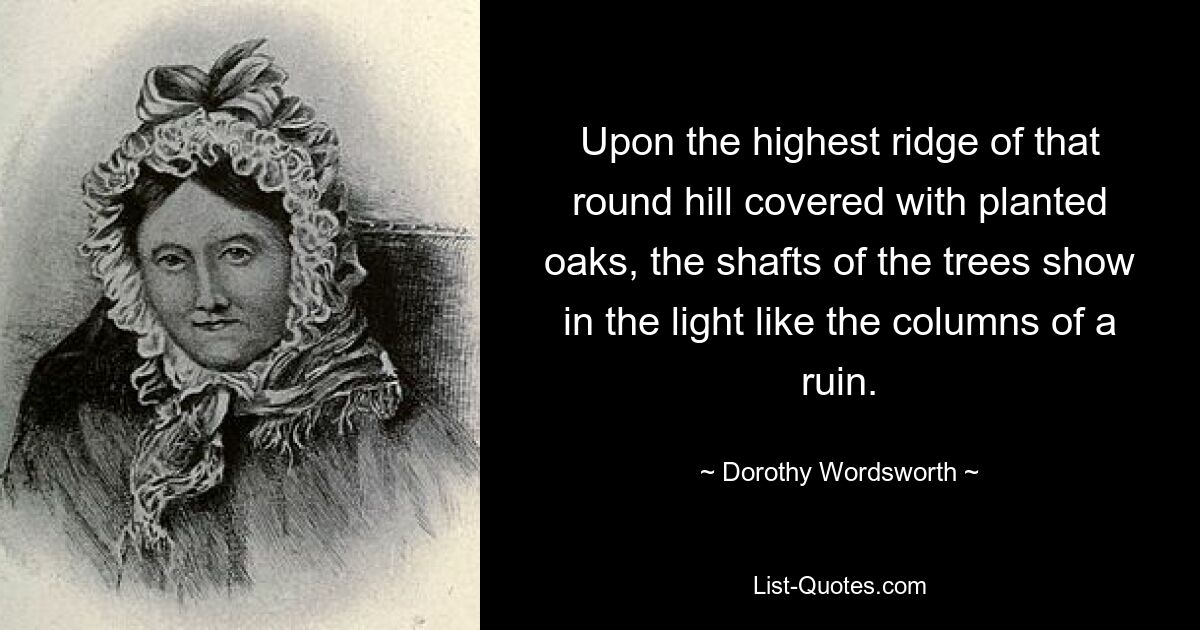 Upon the highest ridge of that round hill covered with planted oaks, the shafts of the trees show in the light like the columns of a ruin. — © Dorothy Wordsworth