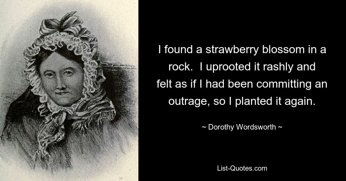 I found a strawberry blossom in a rock.  I uprooted it rashly and felt as if I had been committing an outrage, so I planted it again. — © Dorothy Wordsworth