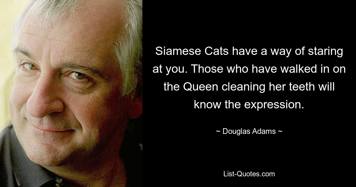 Siamese Cats have a way of staring at you. Those who have walked in on the Queen cleaning her teeth will know the expression. — © Douglas Adams