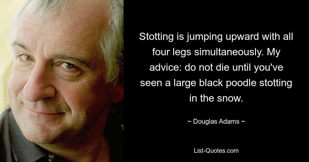 Stotting is jumping upward with all four legs simultaneously. My advice: do not die until you've seen a large black poodle stotting in the snow. — © Douglas Adams