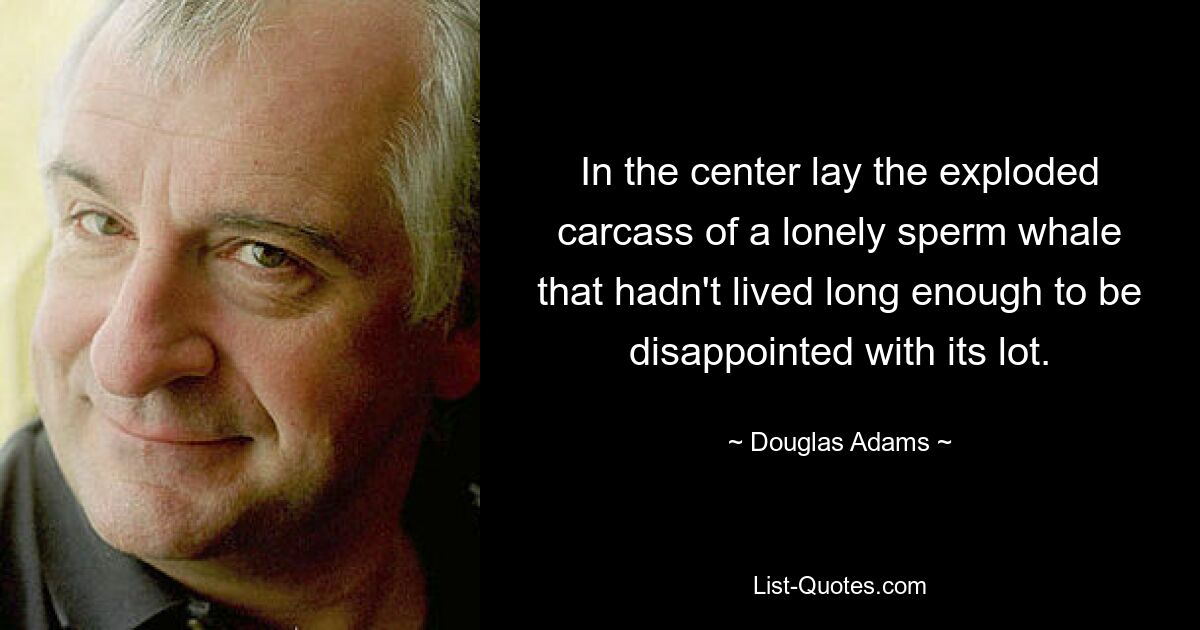 In the center lay the exploded carcass of a lonely sperm whale that hadn't lived long enough to be disappointed with its lot. — © Douglas Adams